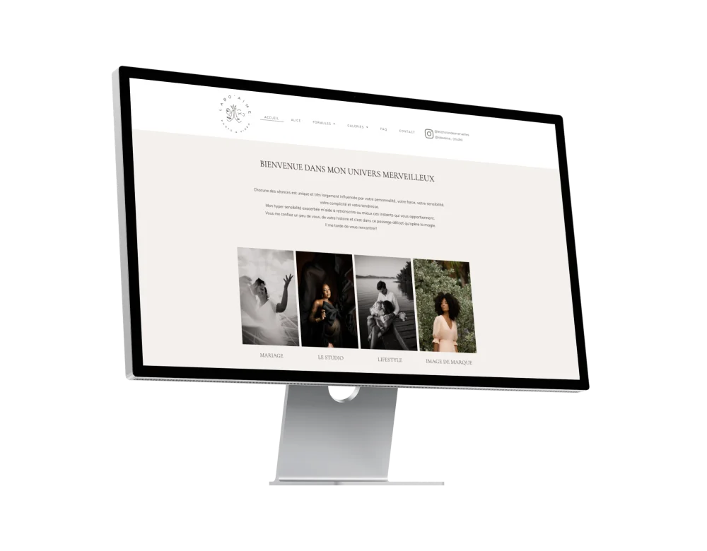 Site iternet professionnel réalisé par Atoumo web et conseils agence numérique en martinique et aux antilles-guyane